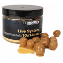 Dumbellsy CC Moore w zalewie 10x14mm - Live System Dumbellsy CC Moore w zalewie 10x14mm - Live System