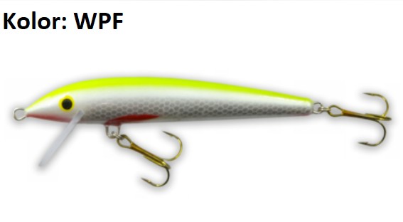 wobler-nike-100-plywajacy-gloog