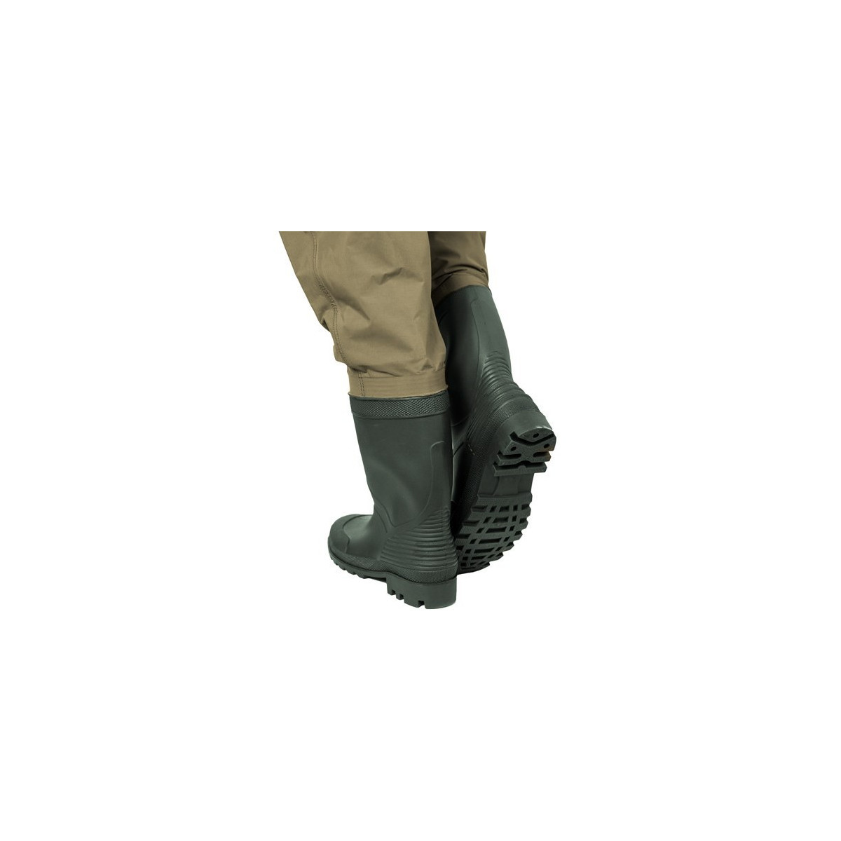 wodery-krotkie-hron-delphin wodery-krotkie-hron-delphin