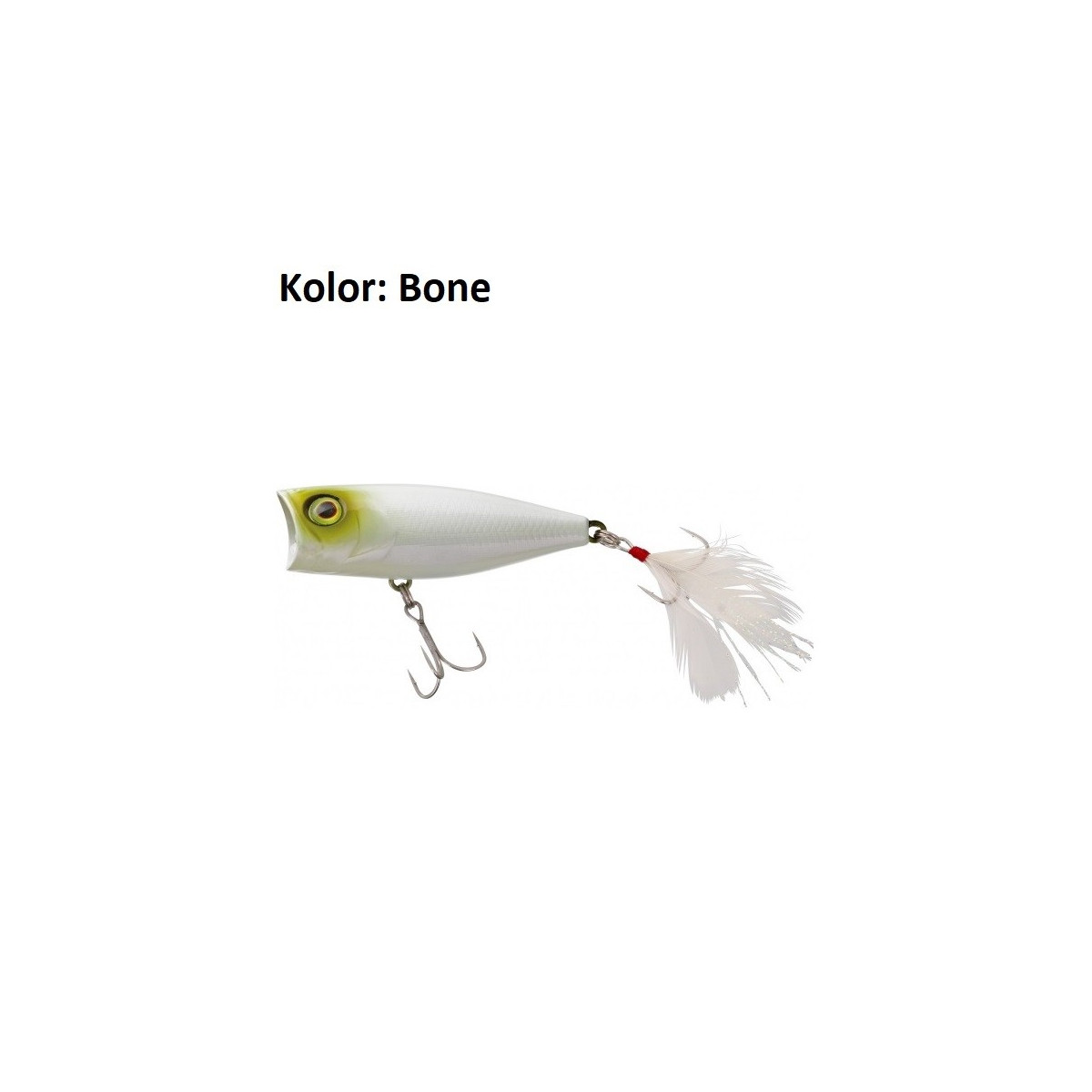 wobler-sk-pop-illex