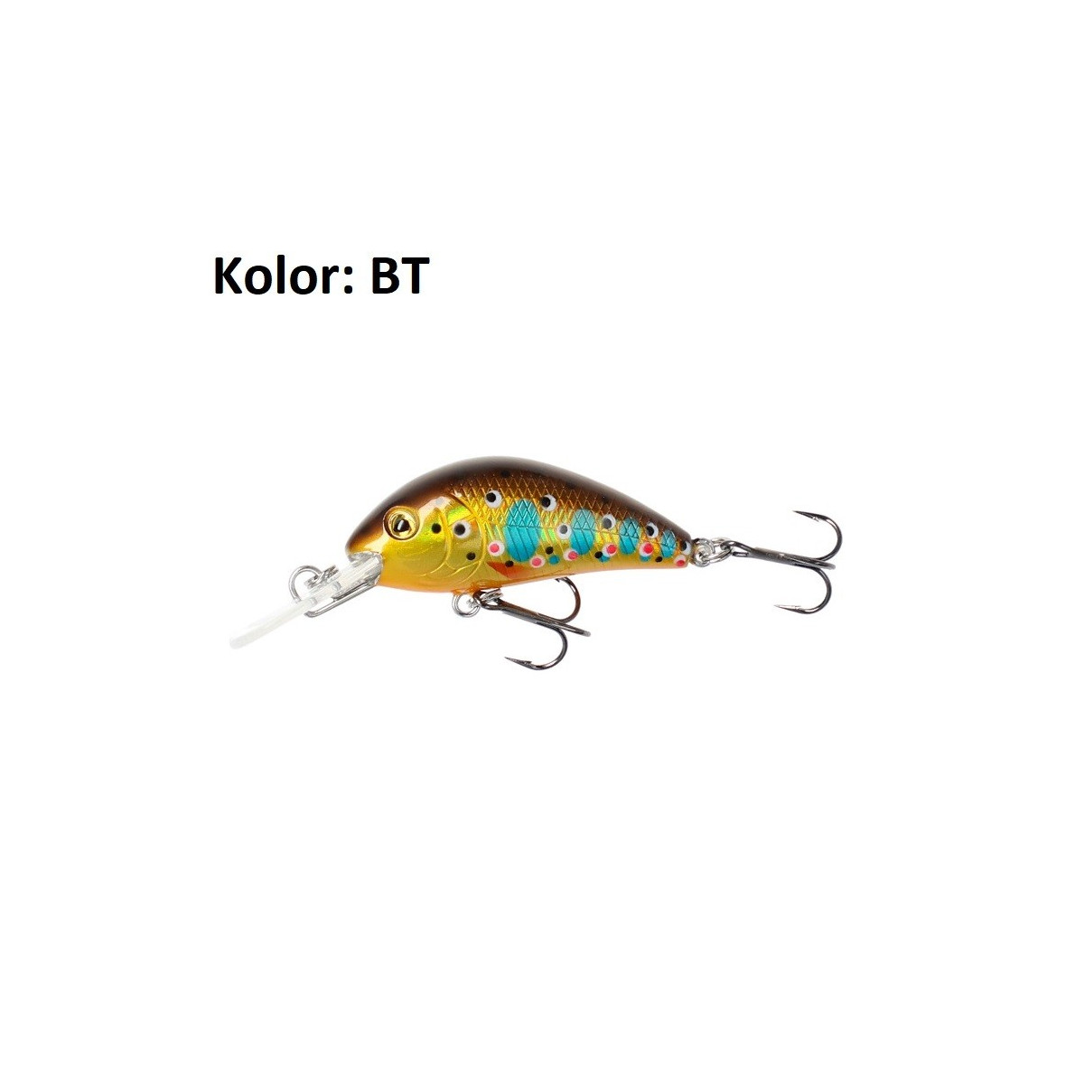 wobler-cavalier-mikado