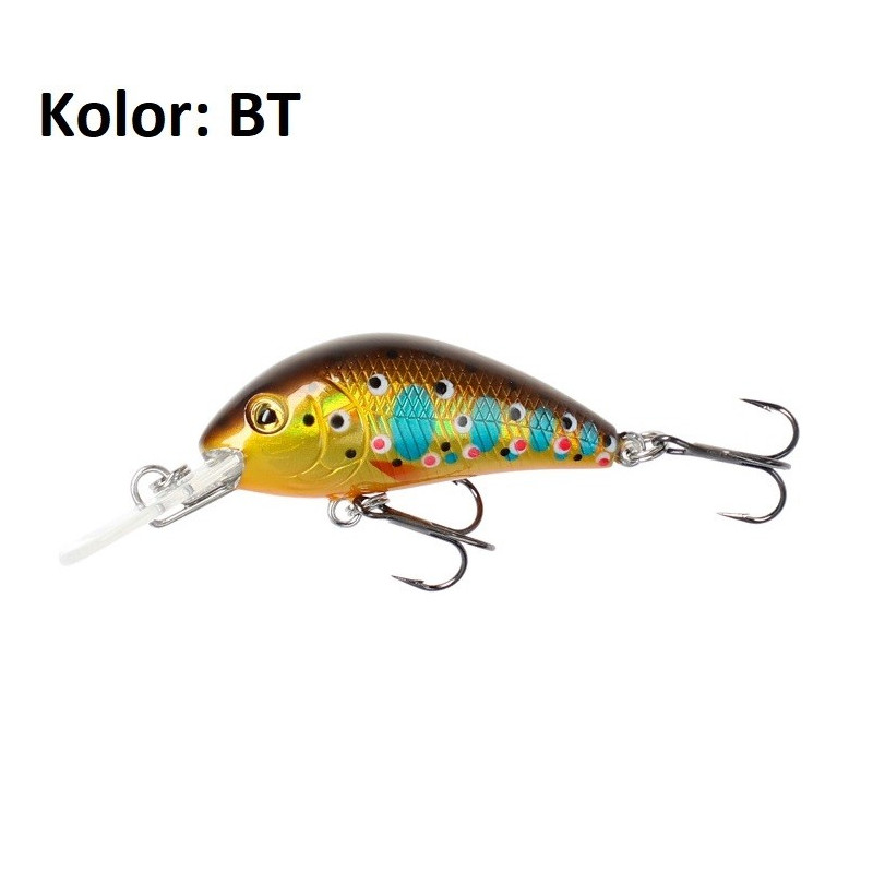 wobler-cavalier-mikado