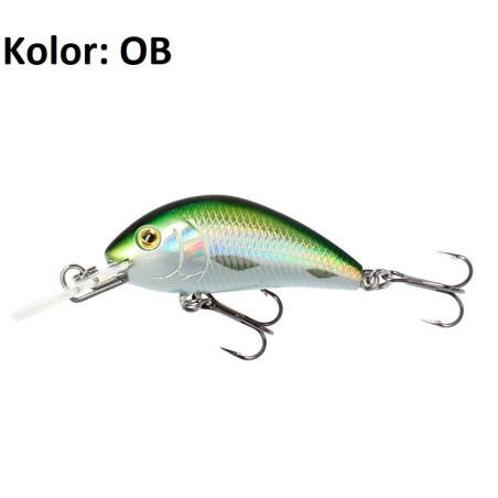 wobler-cavalier-mikado