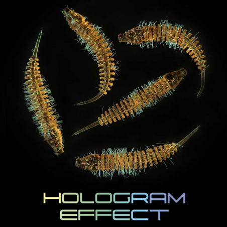 Przynęta Fishbay Węgorz / ELL / Hairy OPK 5 szt. 6cm 13 Cola Przynęta Fishbay Węgorz / ELL / Hairy OPK 5 szt. 6cm 13 Cola