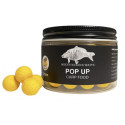 Kulki Wratislavia Baits Pop Up Carp food 150 ml 16mm / Ananas