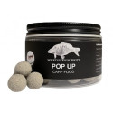 Kulki Wratislavia Baits Pop Up Carp food 150 ml 12mm / kałamarnica