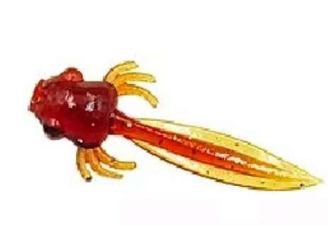 kijanka-micro-2-cm-fishbay kijanka-micro-2-cm-fishbay