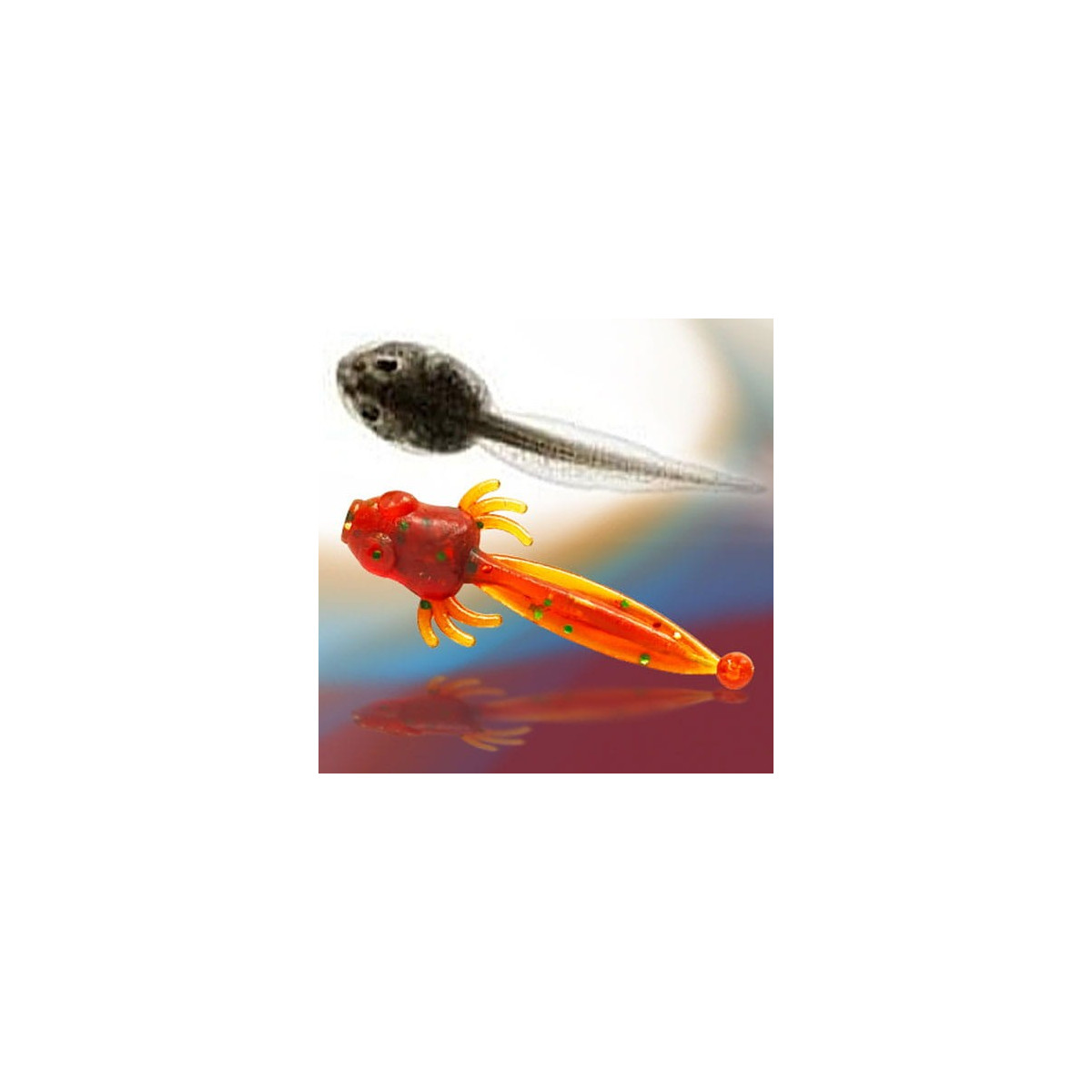 kijanka-micro-2-cm-fishbay kijanka-micro-2-cm-fishbay