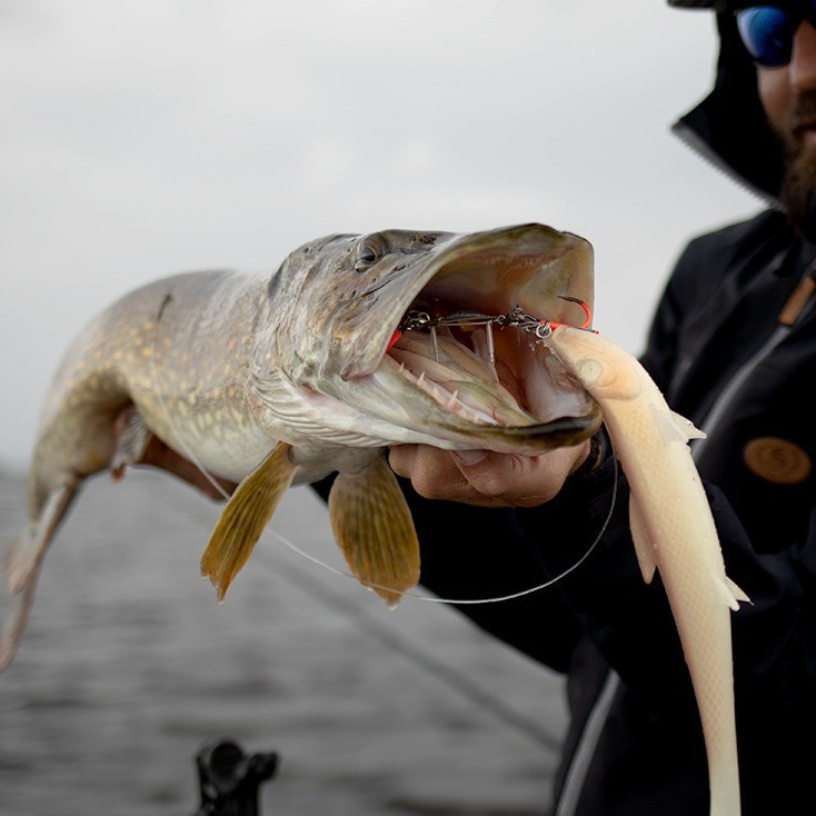 dozbrojka-bb-trigger-21-uvo-bkk dozbrojka-bb-trigger-21-uvo-bkk