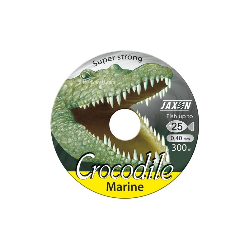 zylka-crocodile-marine-jaxon