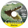 zylka-crocodile-marine-jaxon