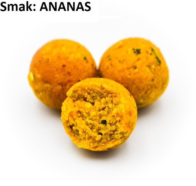 kulki-proteinowe-eco-boilies-10-kg-massive-baits kulki-proteinowe-eco-boilies-10-kg-massive-baits