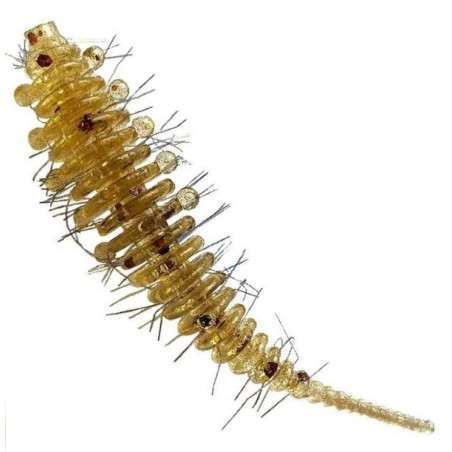 Przynęta Fishbay Robak/Worm Hairy 5,5 cm 15 Gold Przynęta Fishbay Robak/Worm Hairy 5,5 cm 15 Gold