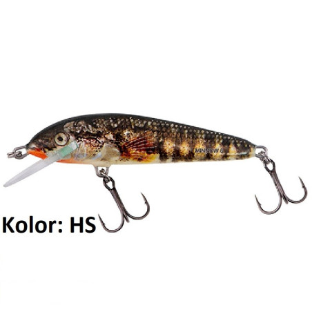 Wobler Salmo Minnow M5F 5cm HS-Holo Stickleback