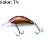 wobler-hektor-60n-gloog