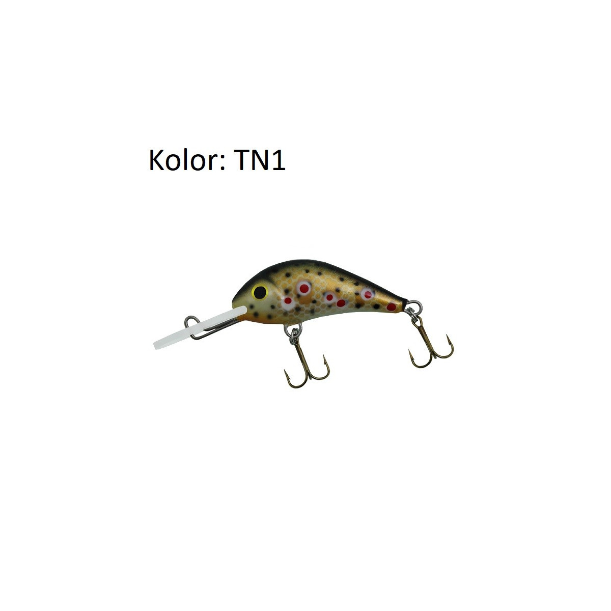 wobler-parys-40n-gloog wobler-parys-40n-gloog