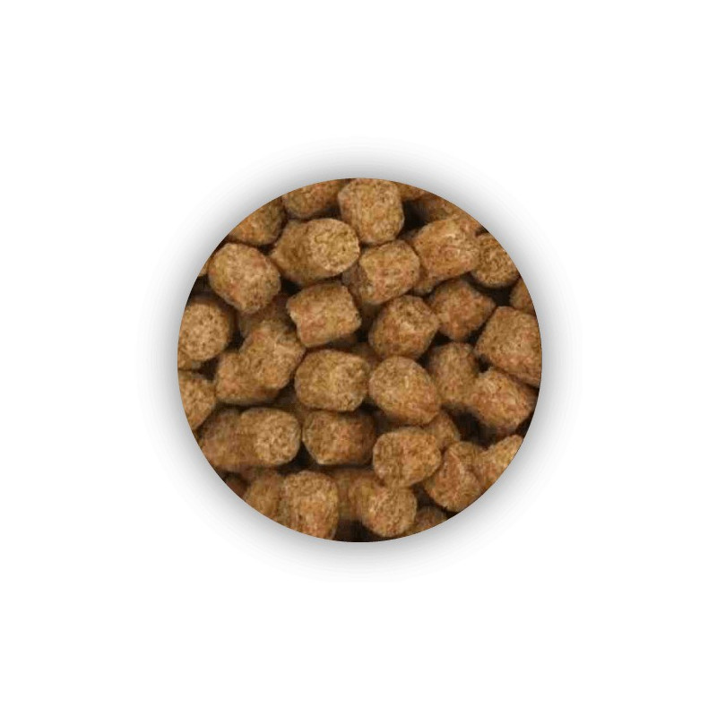 Pellet SKRETTING Coarse Fish 1kg - 2,3mm Coarse Fish Rybny