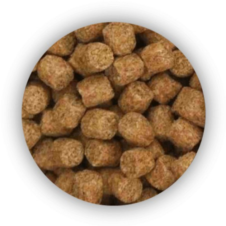 pellet-coarse-fish-4kg-skretting