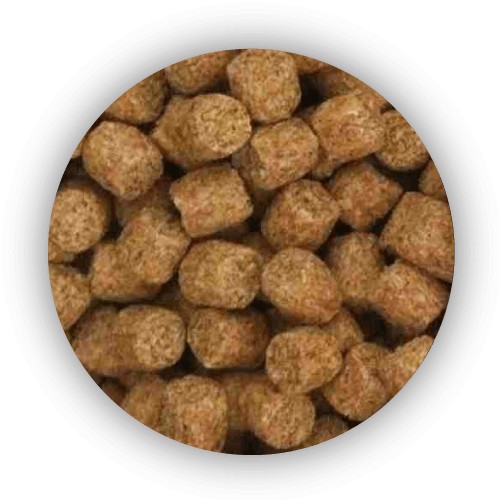 pellet-coarse-fish-4kg-skretting