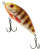 wobler-fatso-f8s-salmo