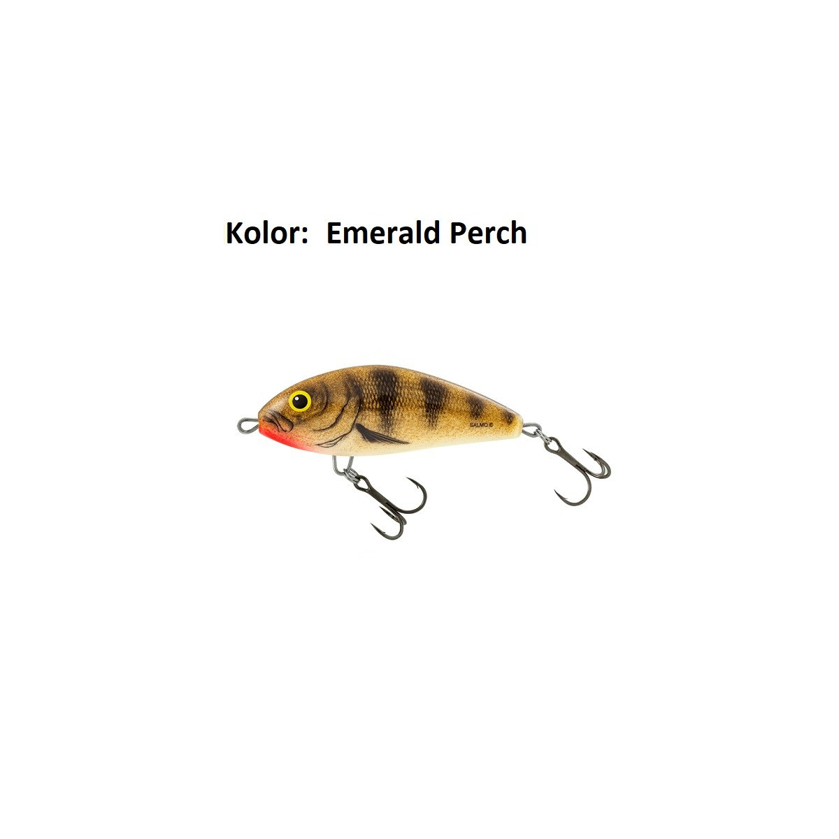 wobler-fatso-f12s-salmo
