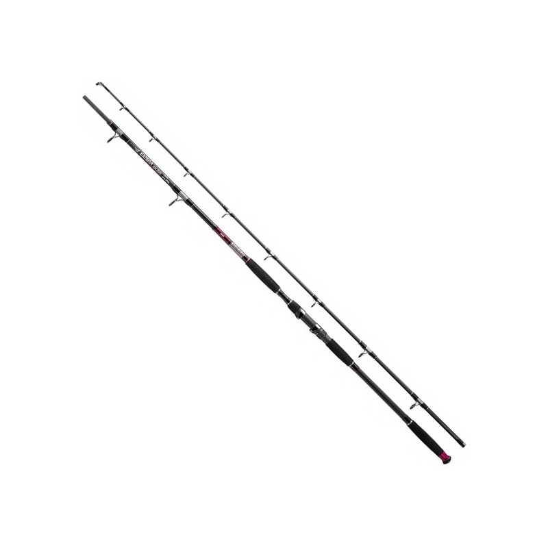 Wędka Jaxon Extera Cat Fish 255cm / 500g