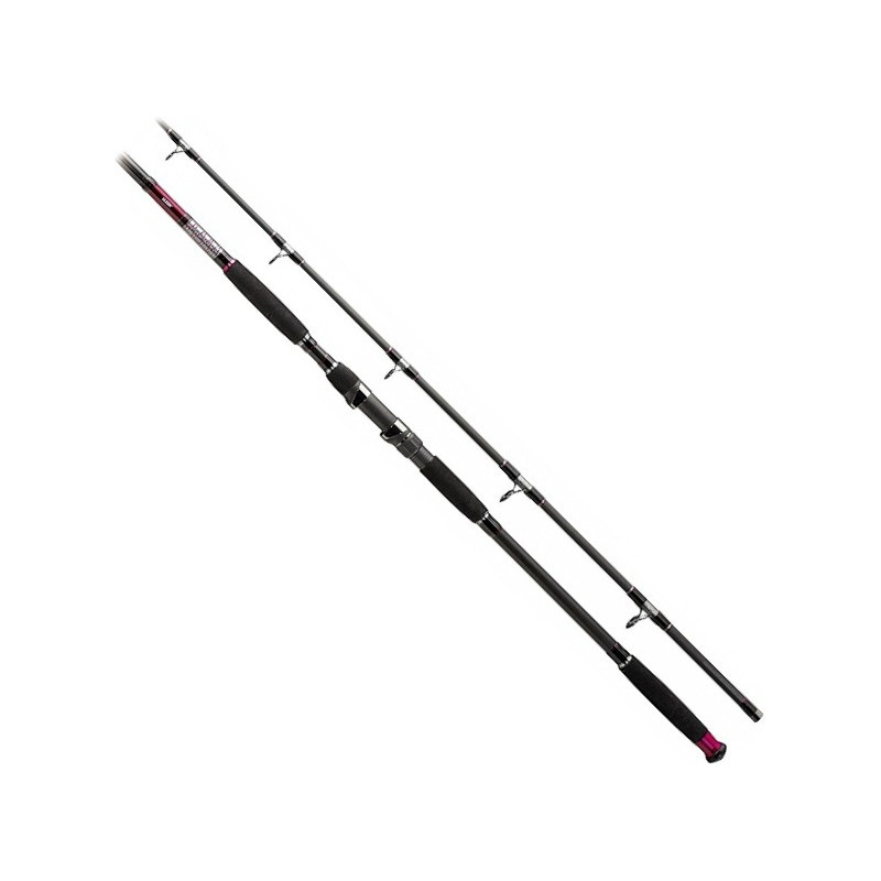 Wędka Jaxon Extera Cat Fish 315cm / 500g