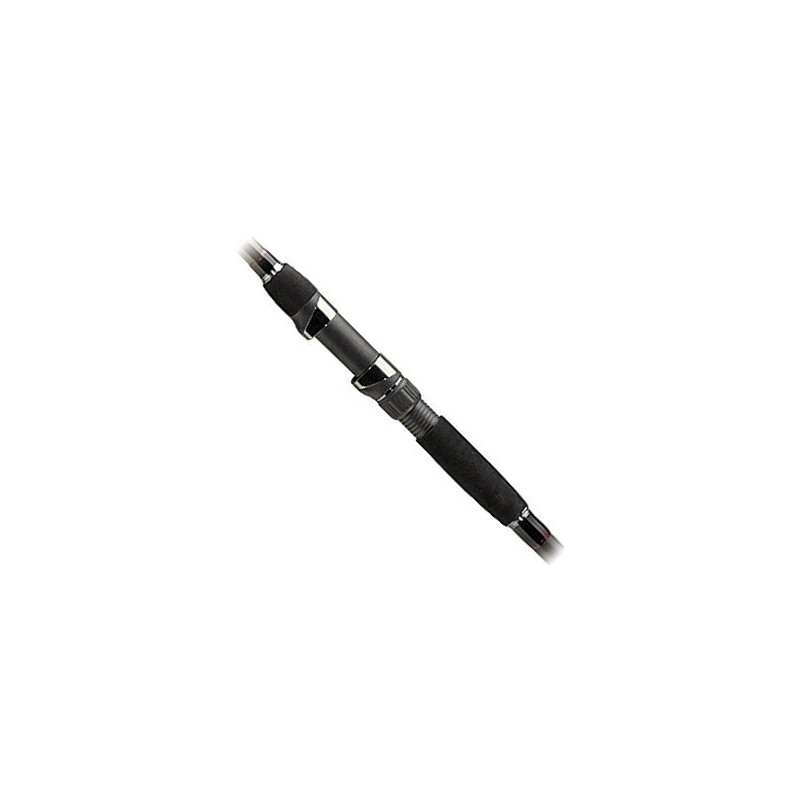 Wędka Jaxon Extera Cat Fish 255cm / 500g