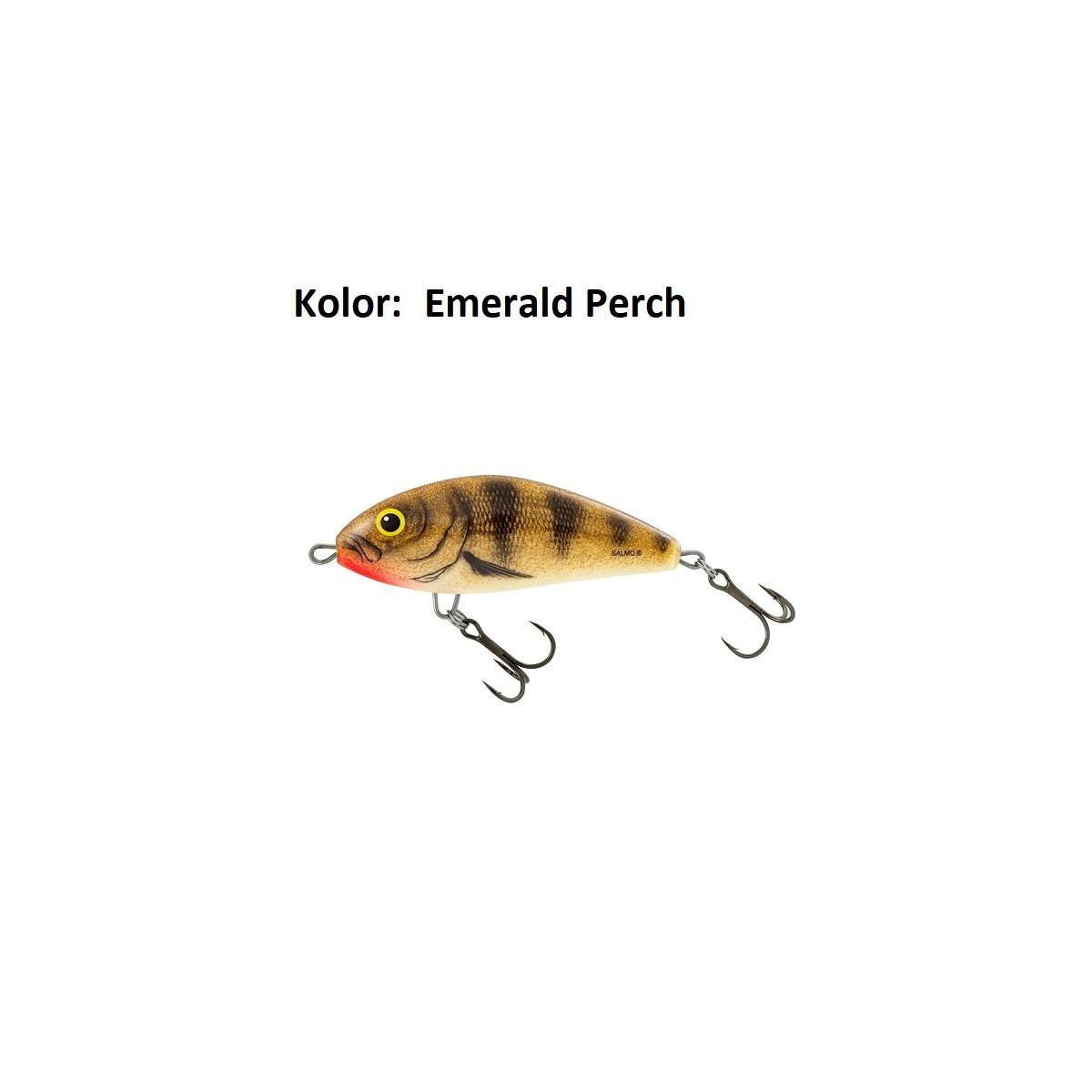 wobler-fatso-f8f-salmo