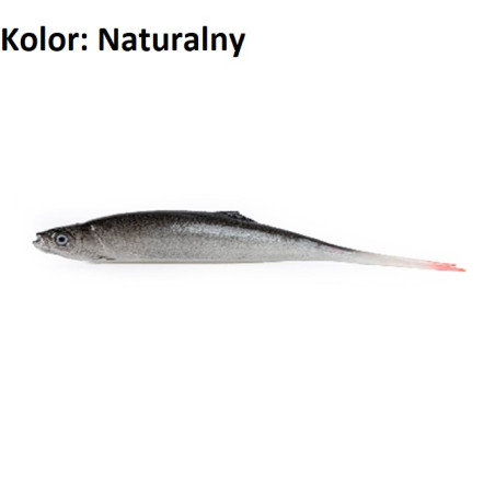 Przynęta Alpha Real Fish Ukleja Vertical 21 cm natural Przynęta Alpha Real Fish Ukleja Vertical 21 cm natural