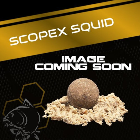 Przynęty Scopex Squid Cult Coated Hookbait 24 mm NASH