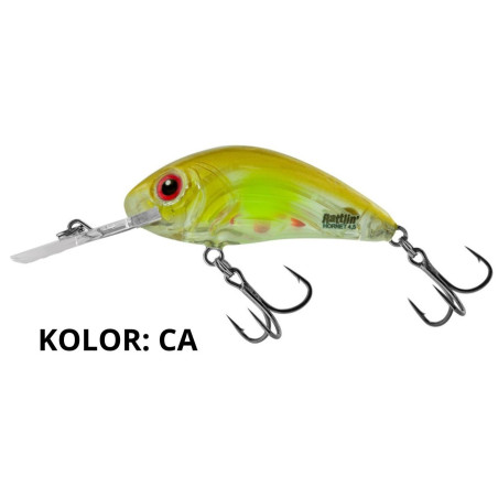wobler-rattlin-hornet-salmo