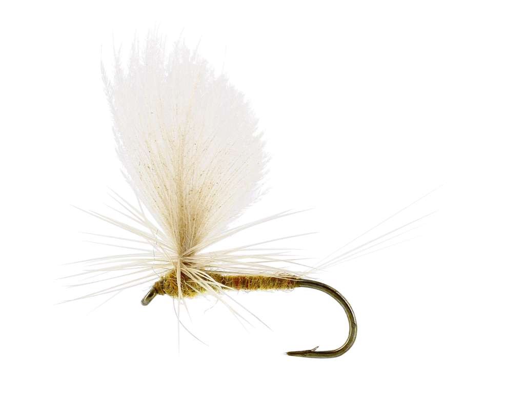 sztuczna-sucha-mucha-ulphurea-dun-tmc100-unique-flies sztuczna-sucha-mucha-ulphurea-dun-tmc100-unique-flies