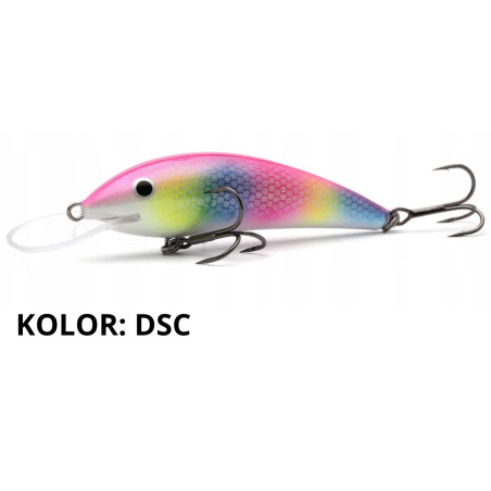 wobler-kalipso-sdr-gloog