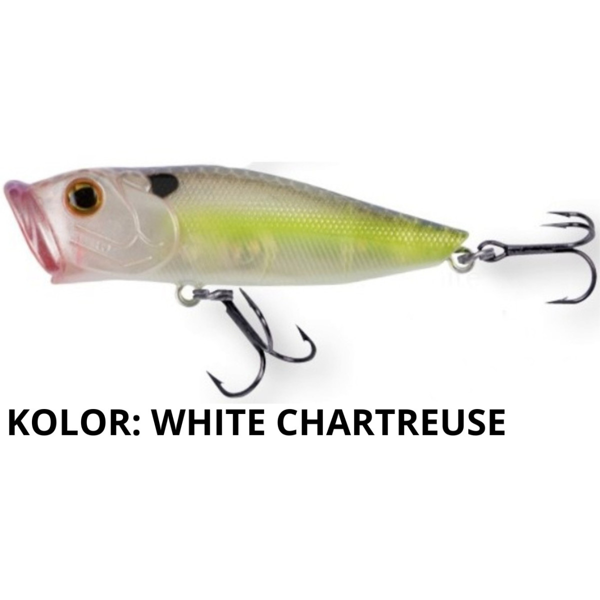 wobler-pop-star-f65-robinson