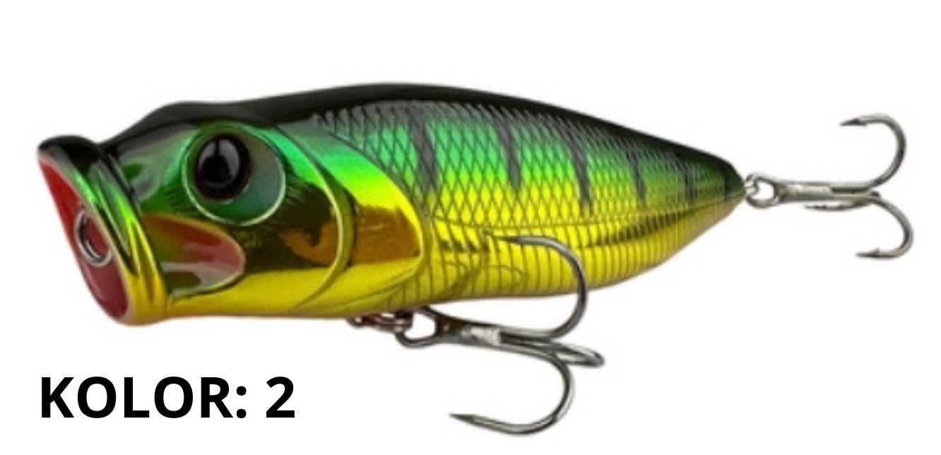 wobler-florida-york wobler-florida-york