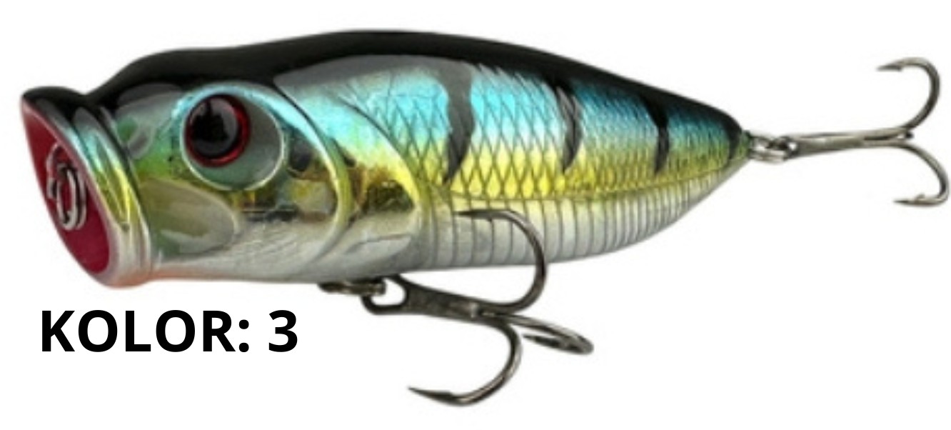 wobler-florida-york wobler-florida-york