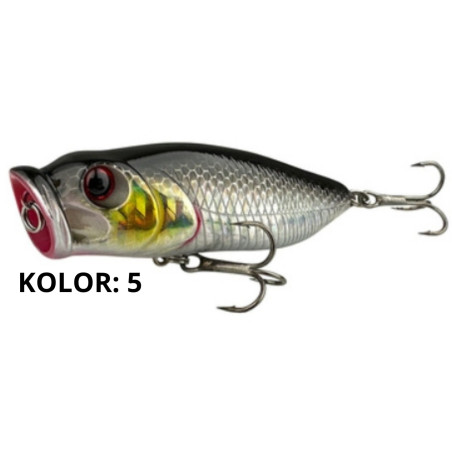 wobler-florida-york