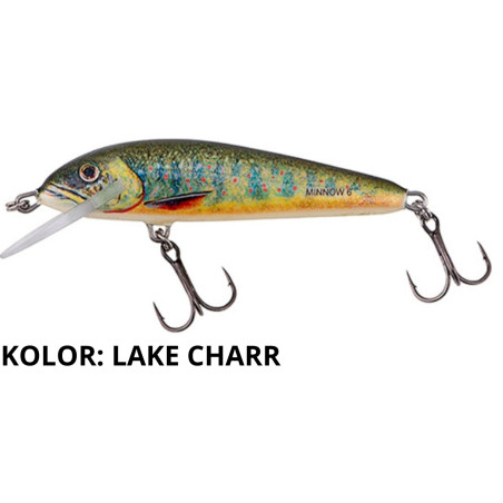 Wobler Salmo Minnow M5S 5cm lake charr