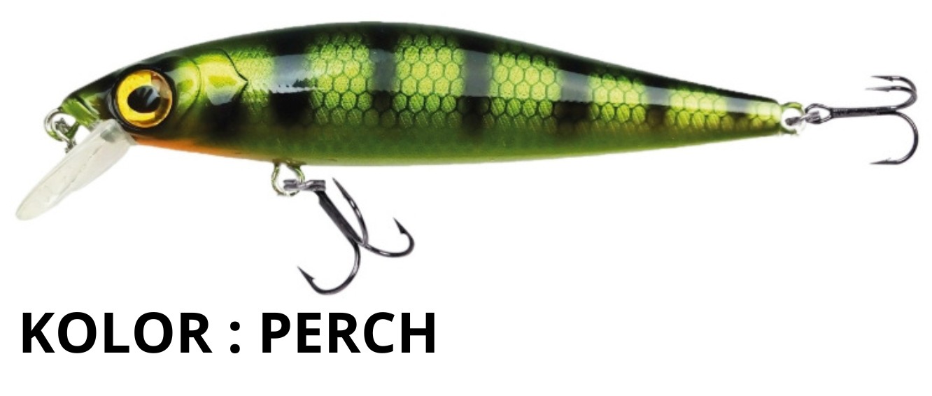 wobler-triumph-10-cm-robinson wobler-triumph-10-cm-robinson