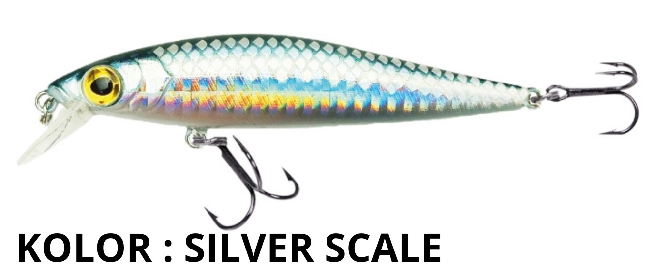 wobler-triumph-10-cm-robinson