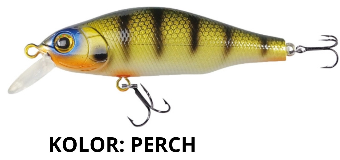 wobler-cossack-robinson wobler-cossack-robinson