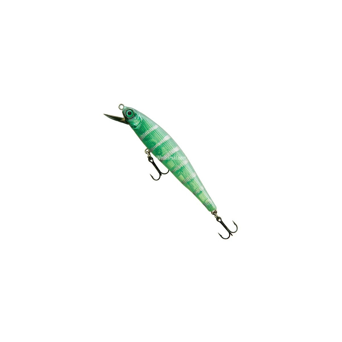 shimura-pm-35-cormoran shimura-pm-35-cormoran