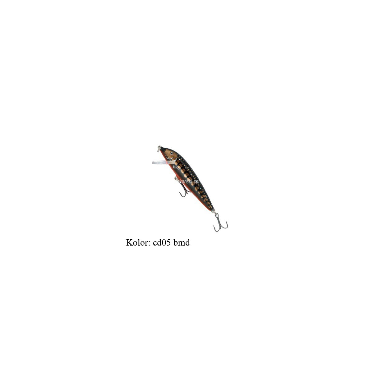 countdown-blue-spotted-minnow-rapala countdown-blue-spotted-minnow-rapala