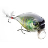 wobler-belly-dog-sr-cormoran