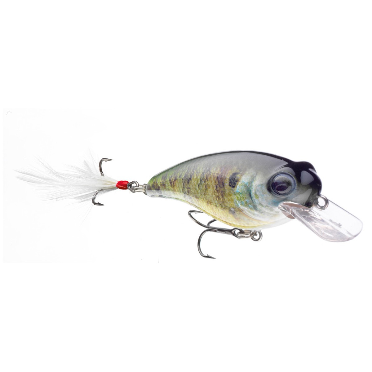 wobler-belly-shad-sd-cormoran