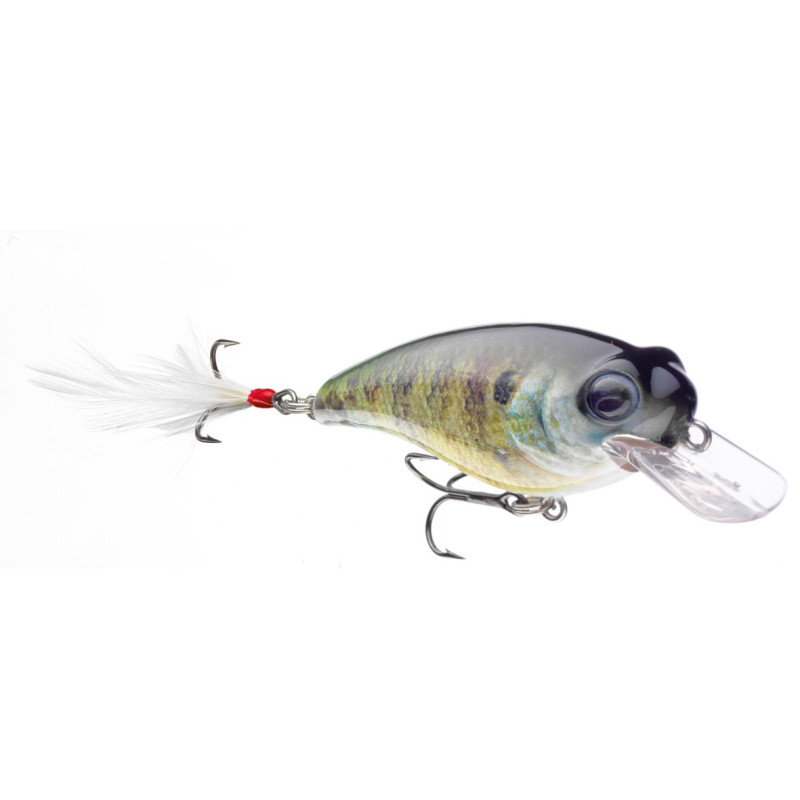 wobler-belly-shad-sd-cormoran