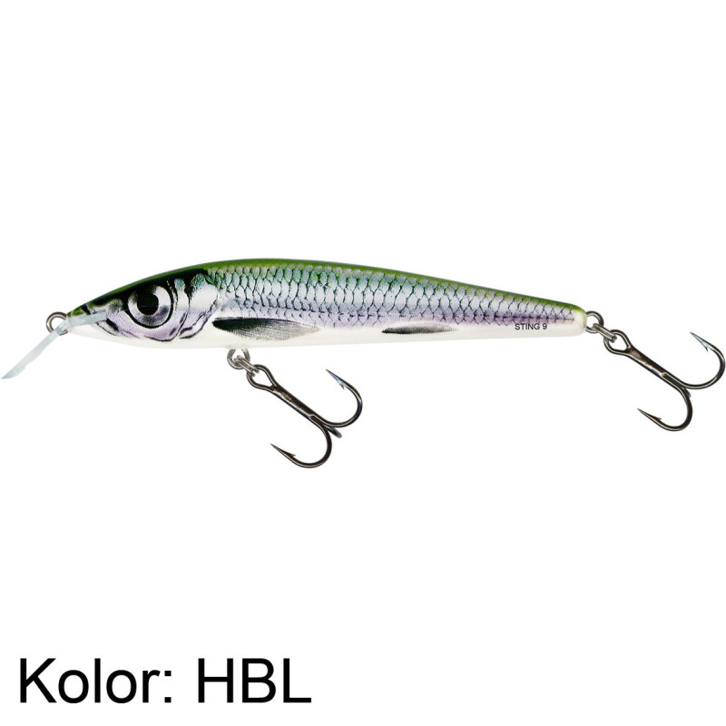 Wobler Salmo Sting S6F 6cm HBL