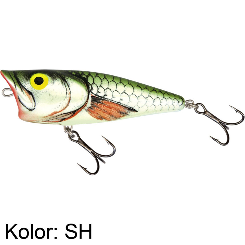 Wobler Salmo Popper 6cm PH