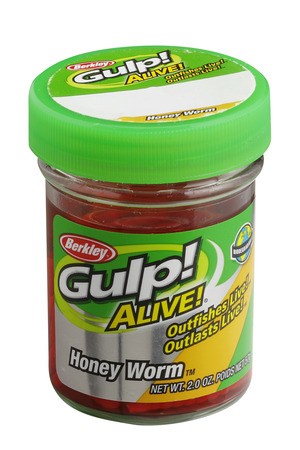 gumy-gulp-alive-angle-worm-berkley